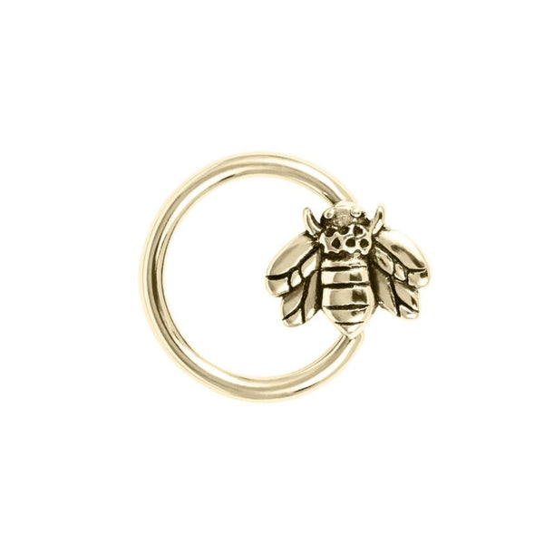 Bee hot sale daith ring