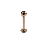 Titanium Labret