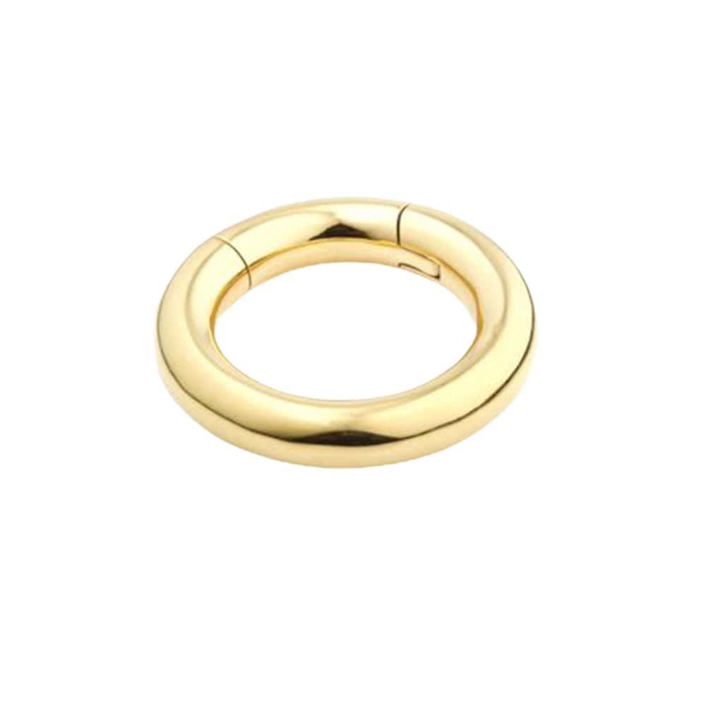 Large Hinged Segment Ring