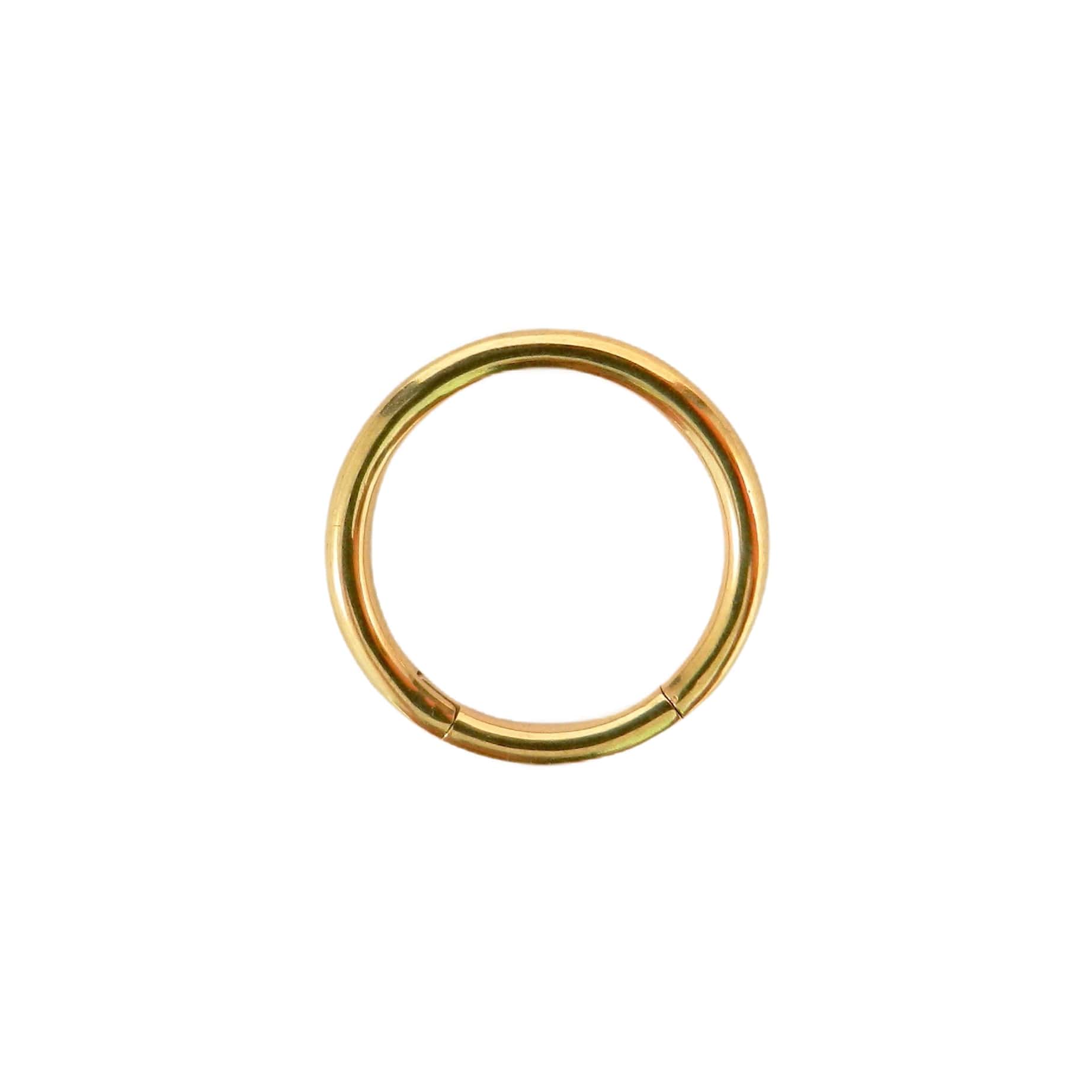 Hinged Segment Ring