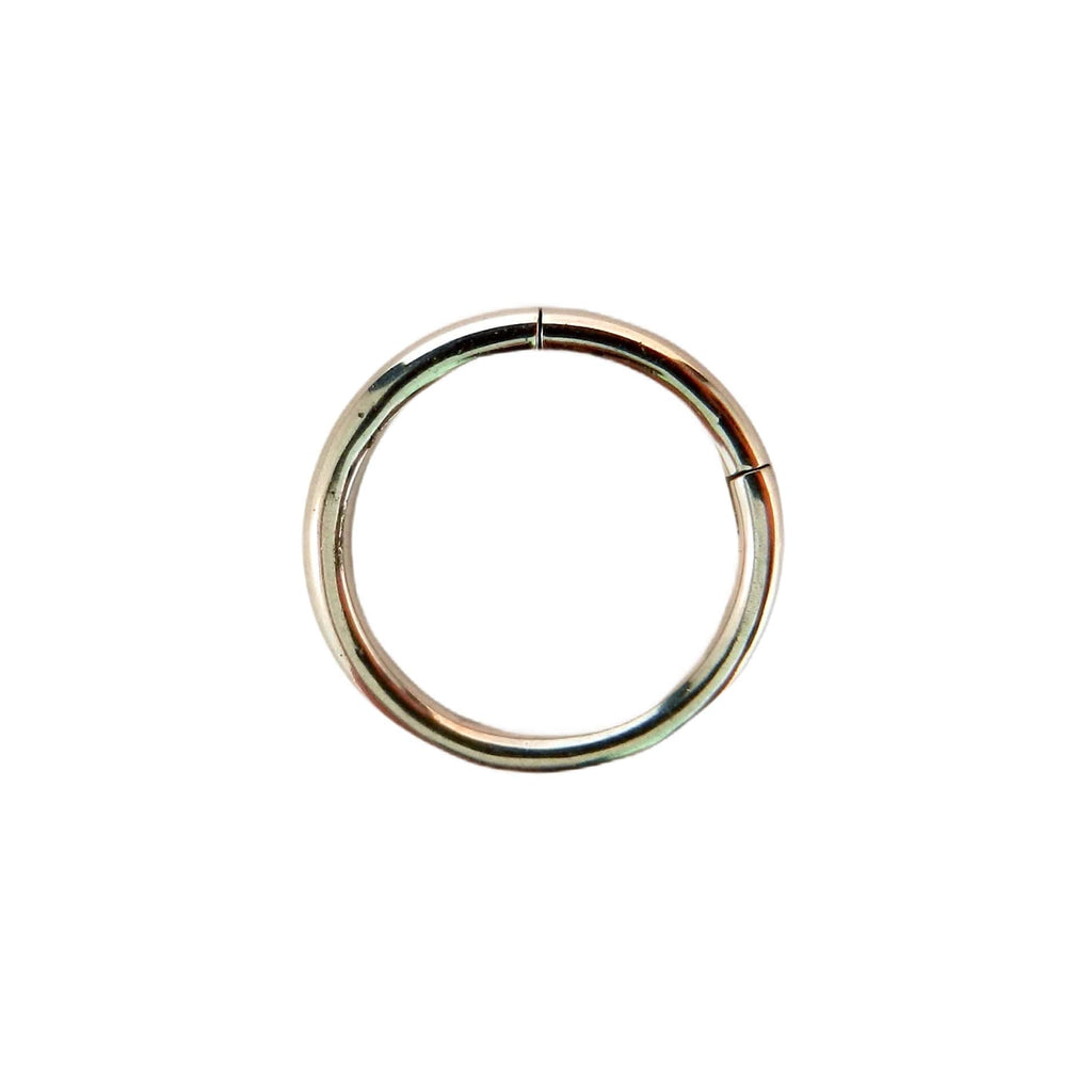 Hinged Segment Ring Punktured Body Piercing